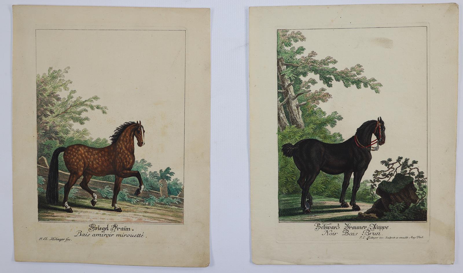 Ridinger, Johann Elias | Bild Nr.4