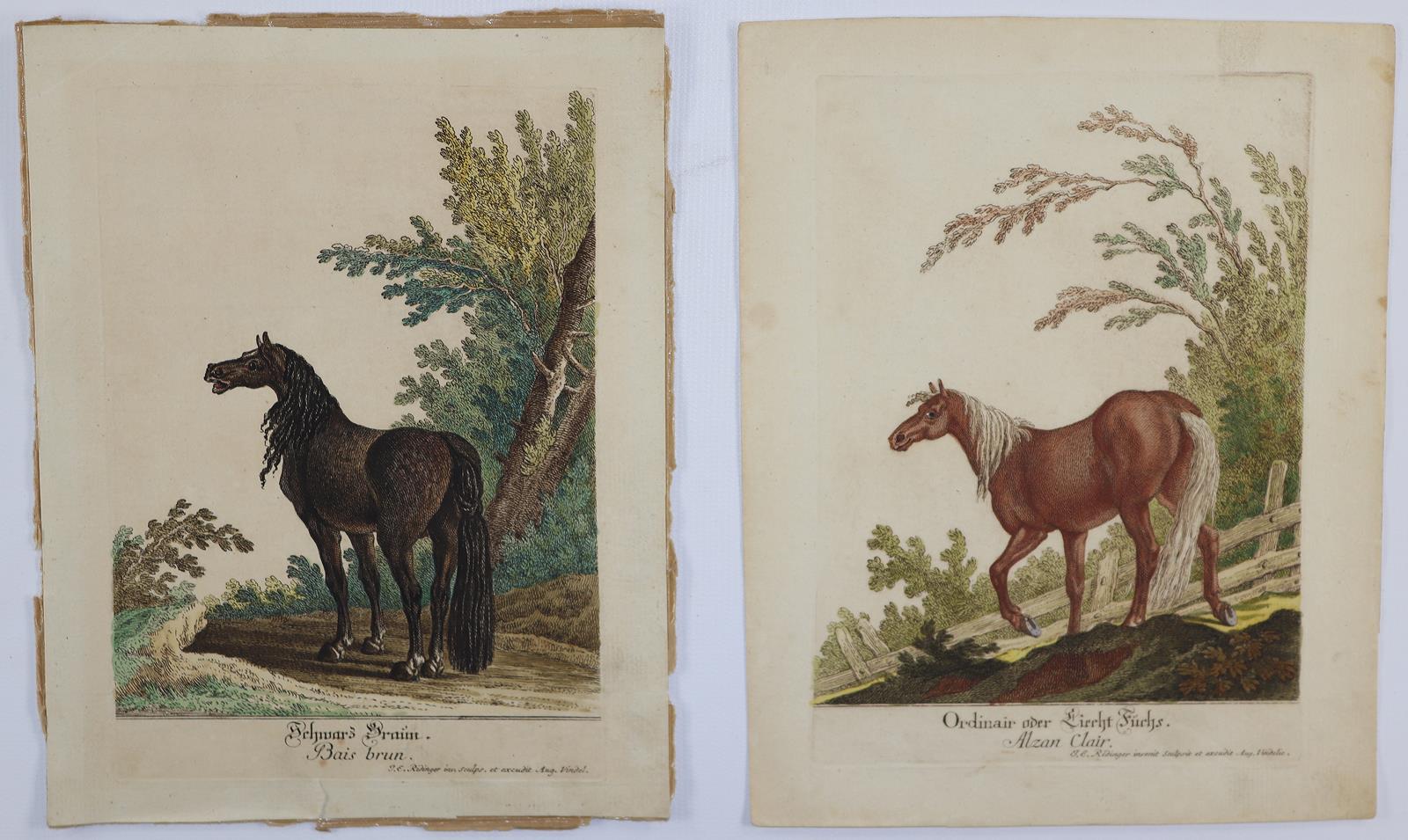 Ridinger, Johann Elias | Bild Nr.5