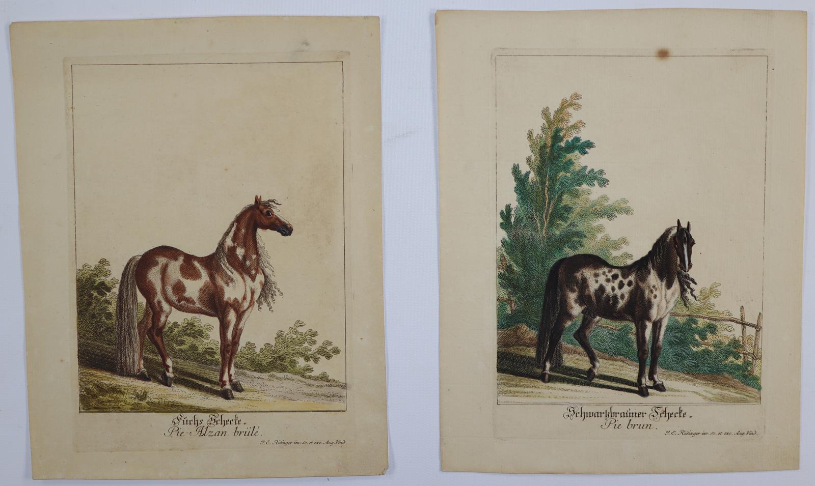 Ridinger, Johann Elias | Bild Nr.6