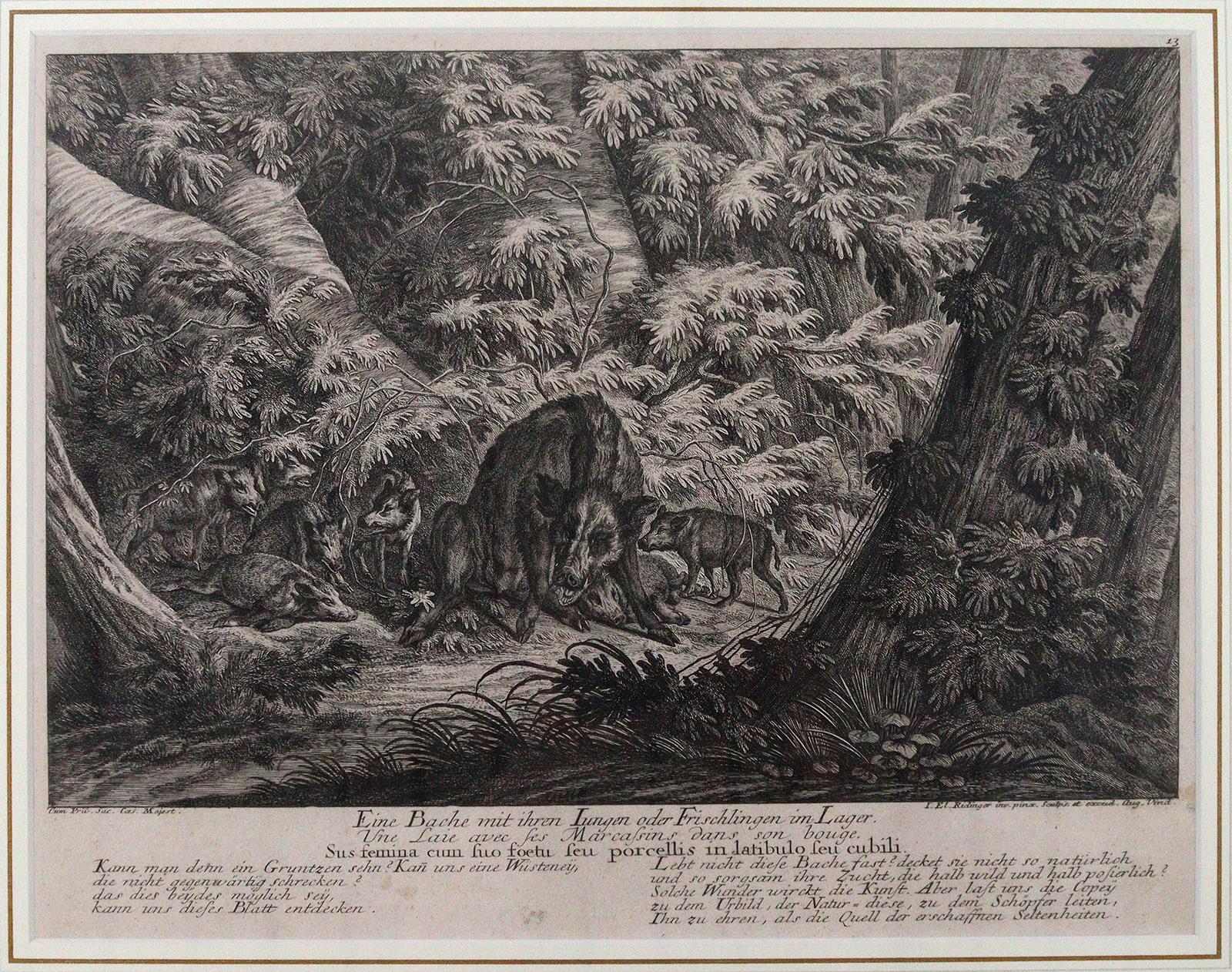 Riedinger, Johann Elias | Bild Nr.2
