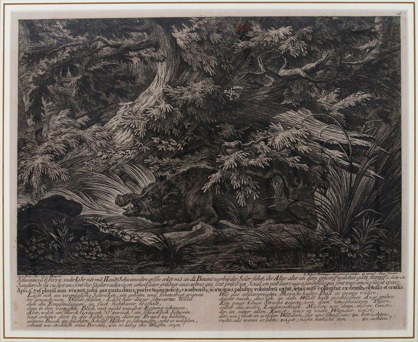 Riedinger, Johann Elias | Bild Nr.5