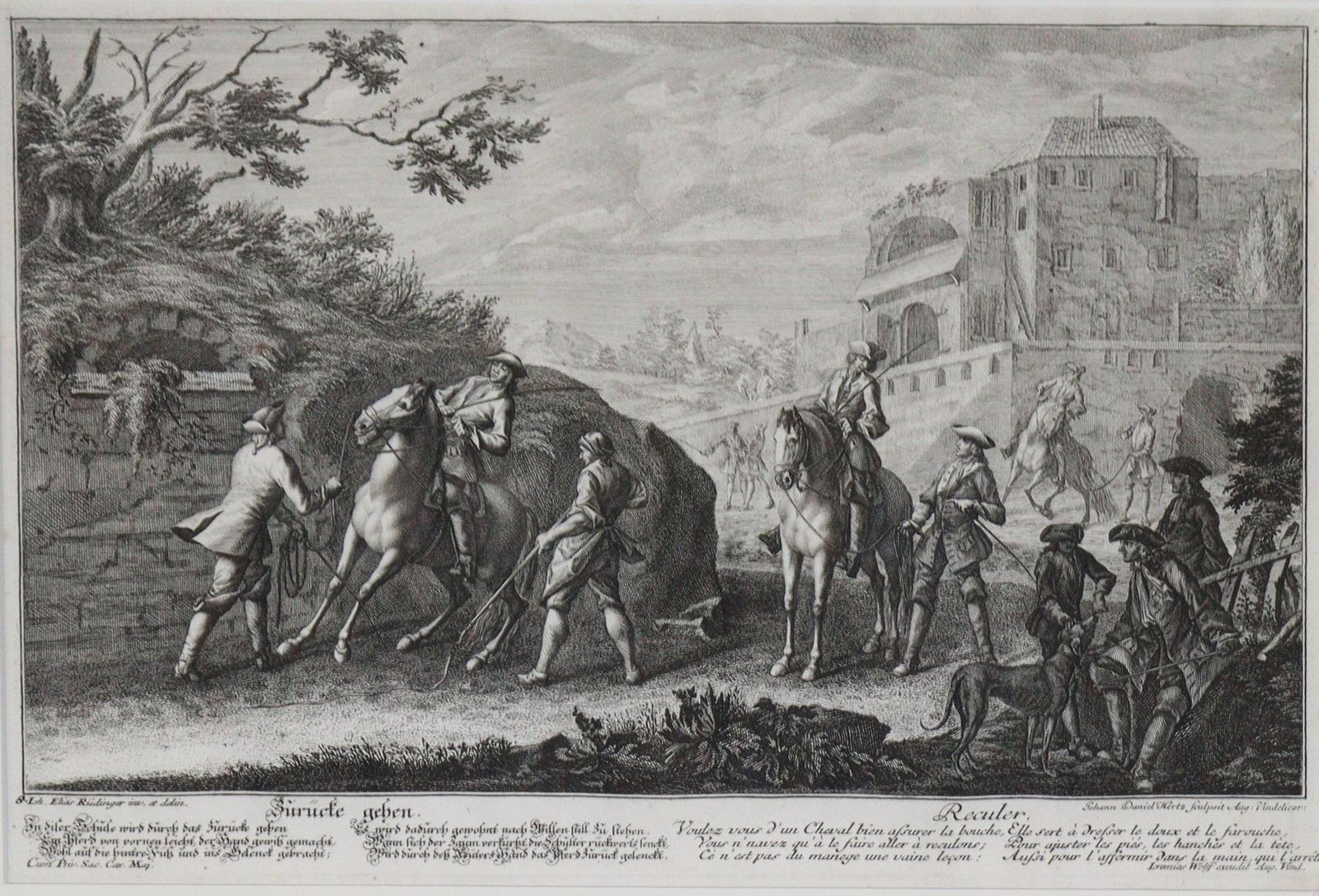 Riedinger, Johann Elias | Bild Nr.7