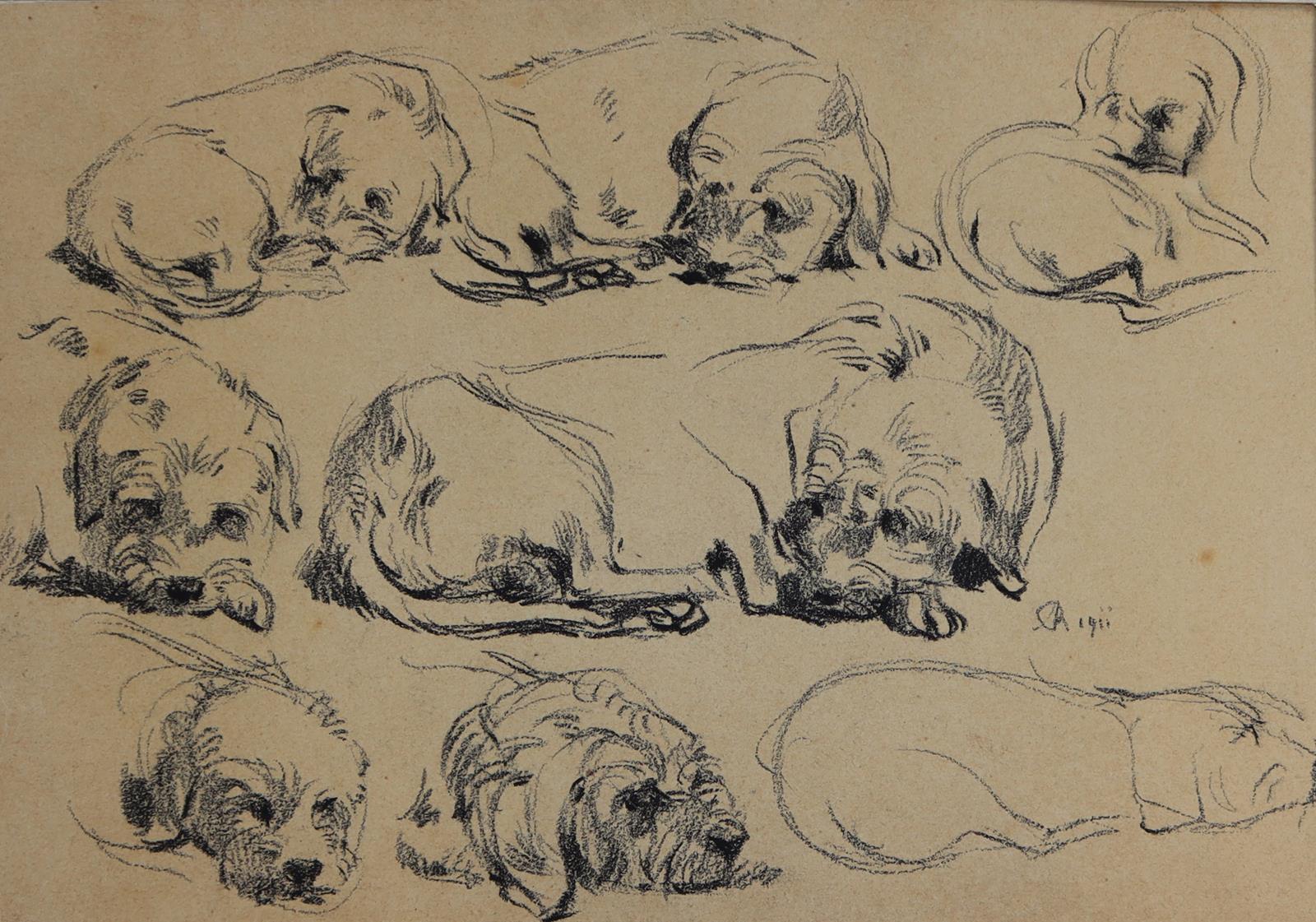 Tiere. | Bild Nr.1