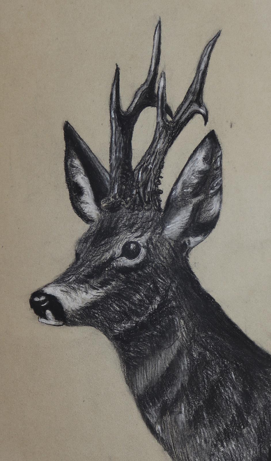 Tiere. | Bild Nr.2