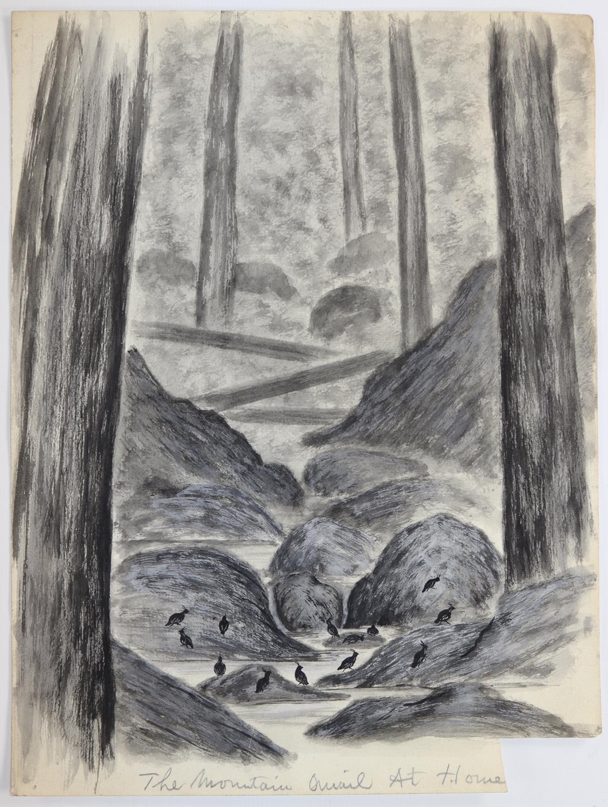 Vögel in amerikanischen Landschaften. | Bild Nr.6
