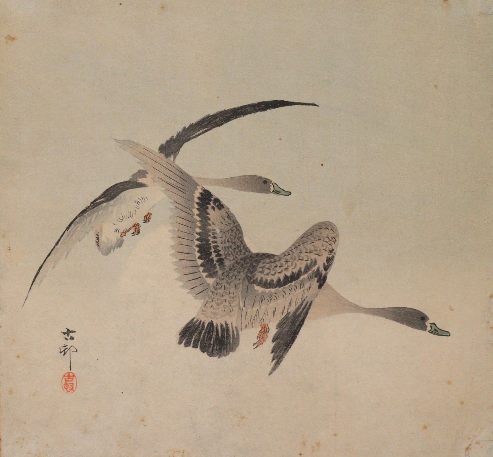 Koson, Ohara | Bild Nr.1