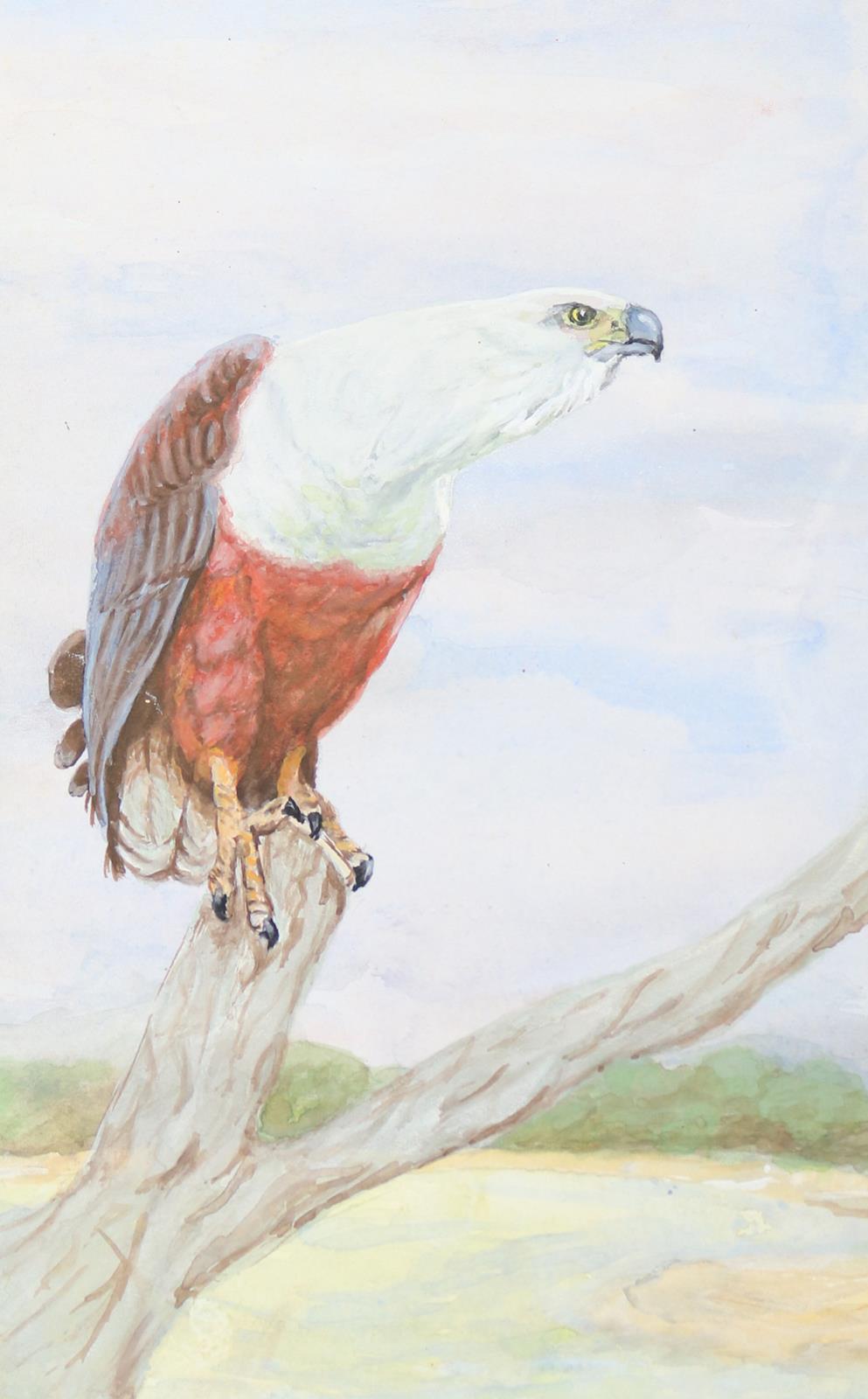 Vögel. | Bild Nr.8