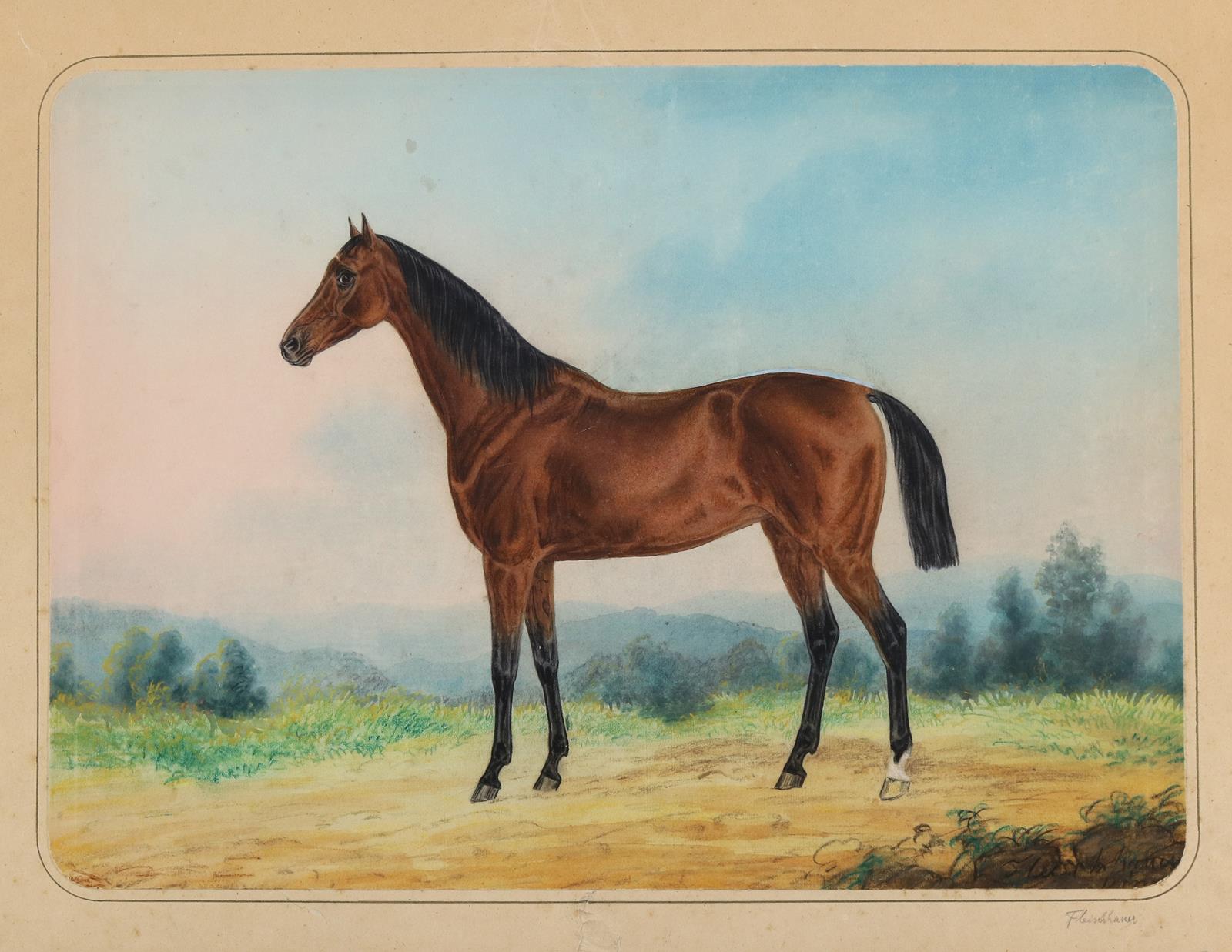 Fleischhauer, Justus Hermann | Bild Nr.1
