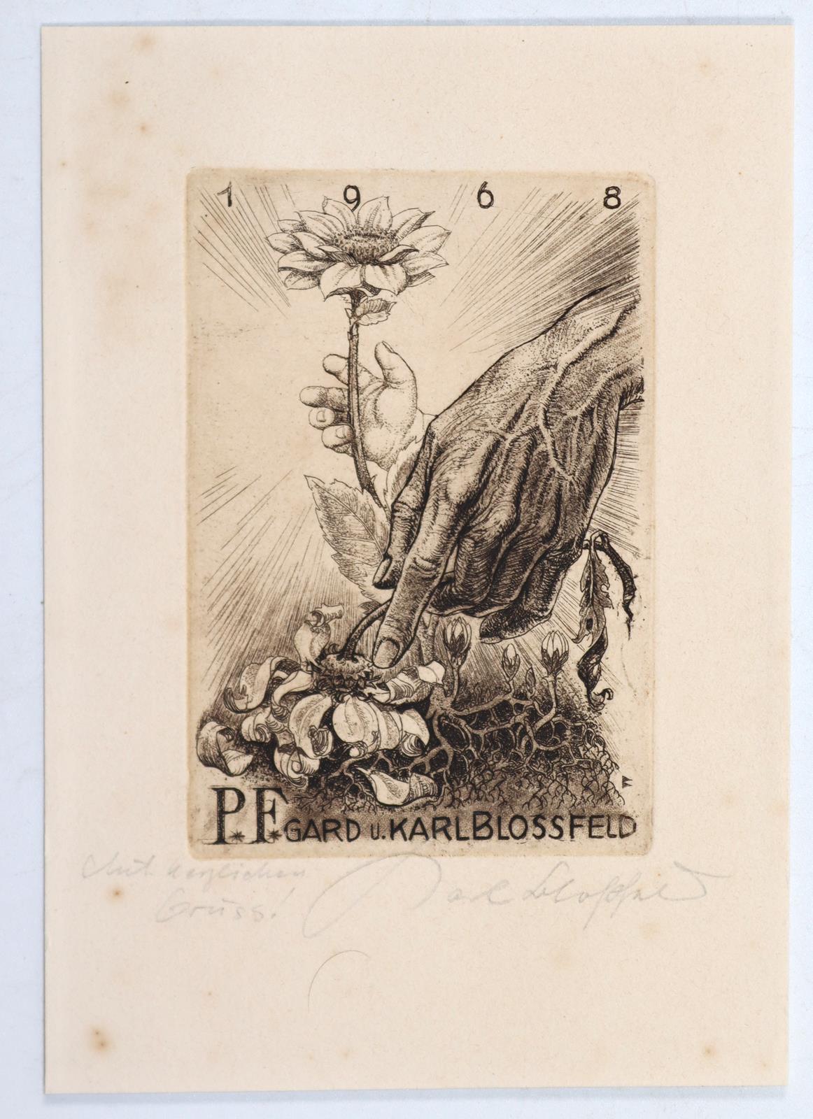 Blossfeld, Karl | Bild Nr.3