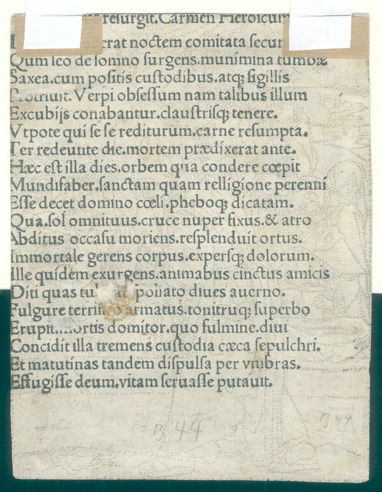 Dürer, Albrecht | Bild Nr.2