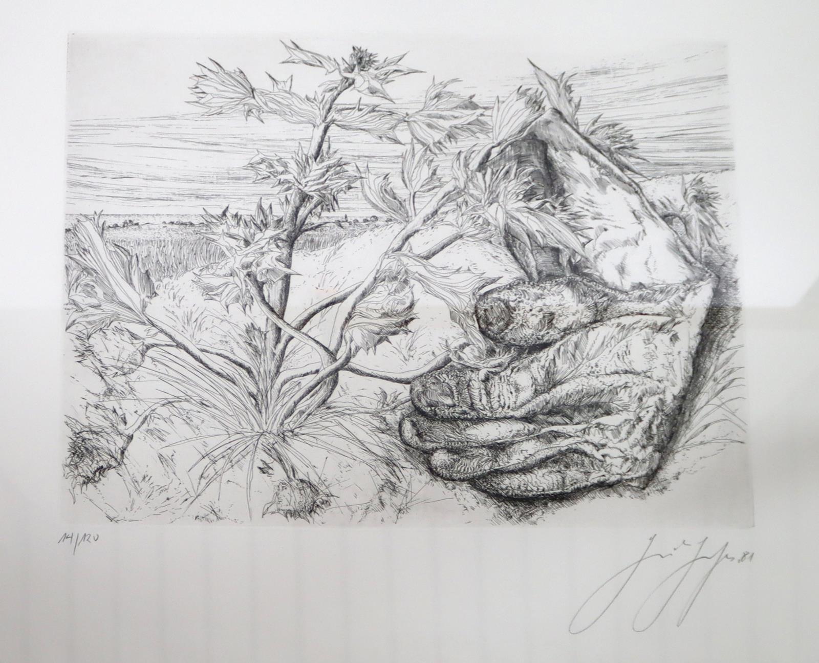Grass, Günther | Bild Nr.3