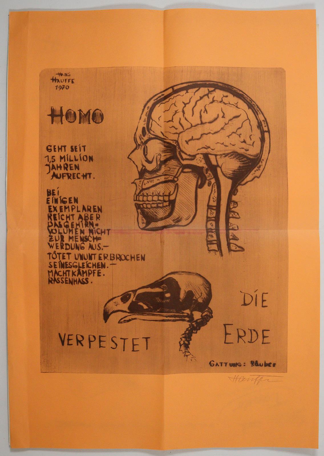 Hauffe, Hans | Bild Nr.7
