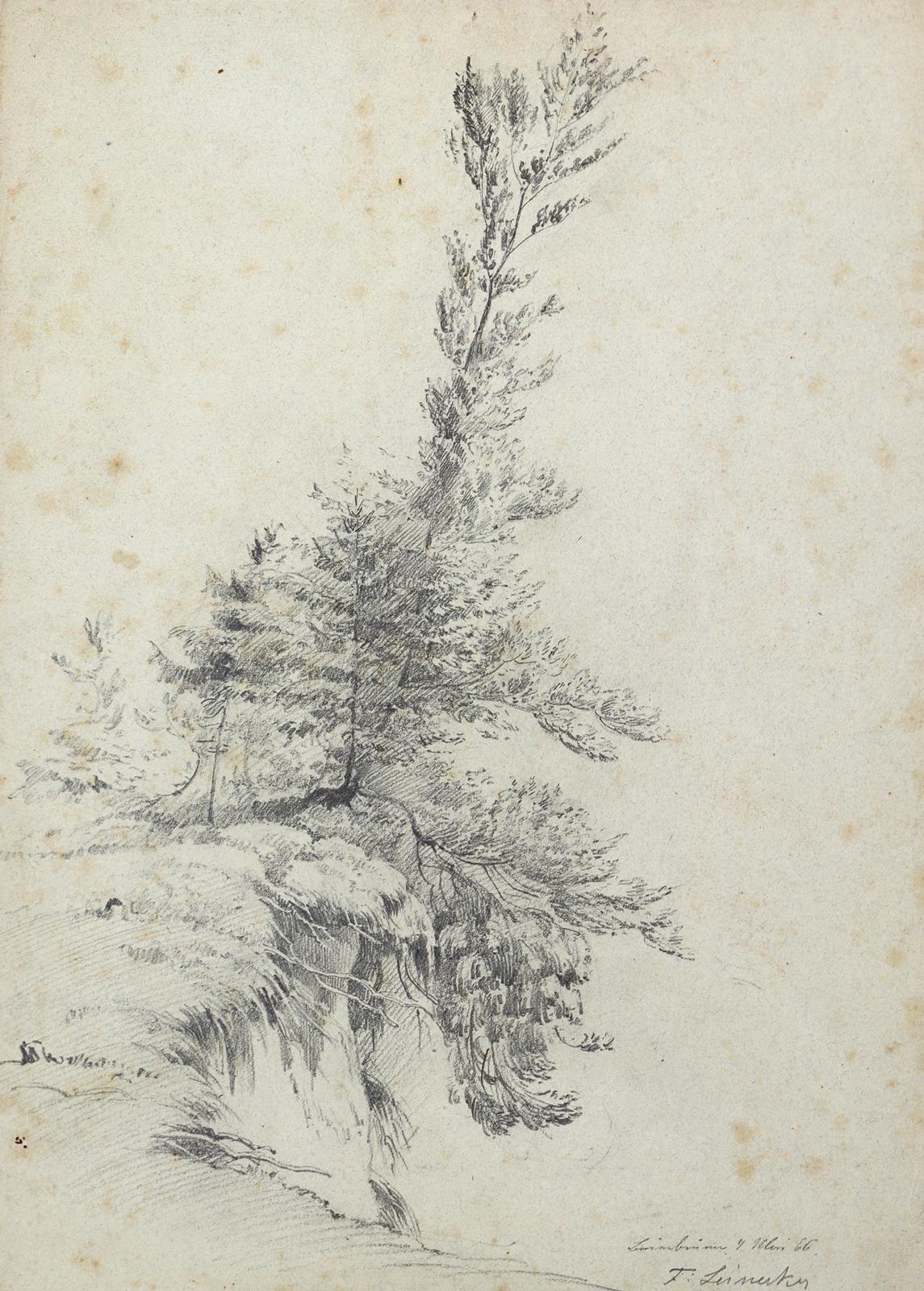 Leinecker, Franz | Bild Nr.3