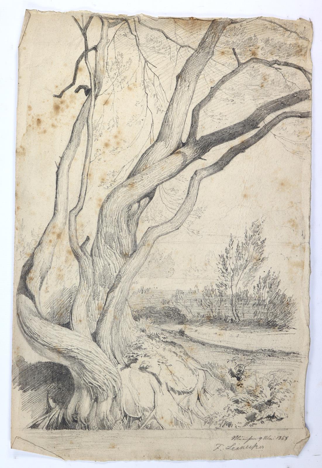 Leinecker, Franz | Bild Nr.5