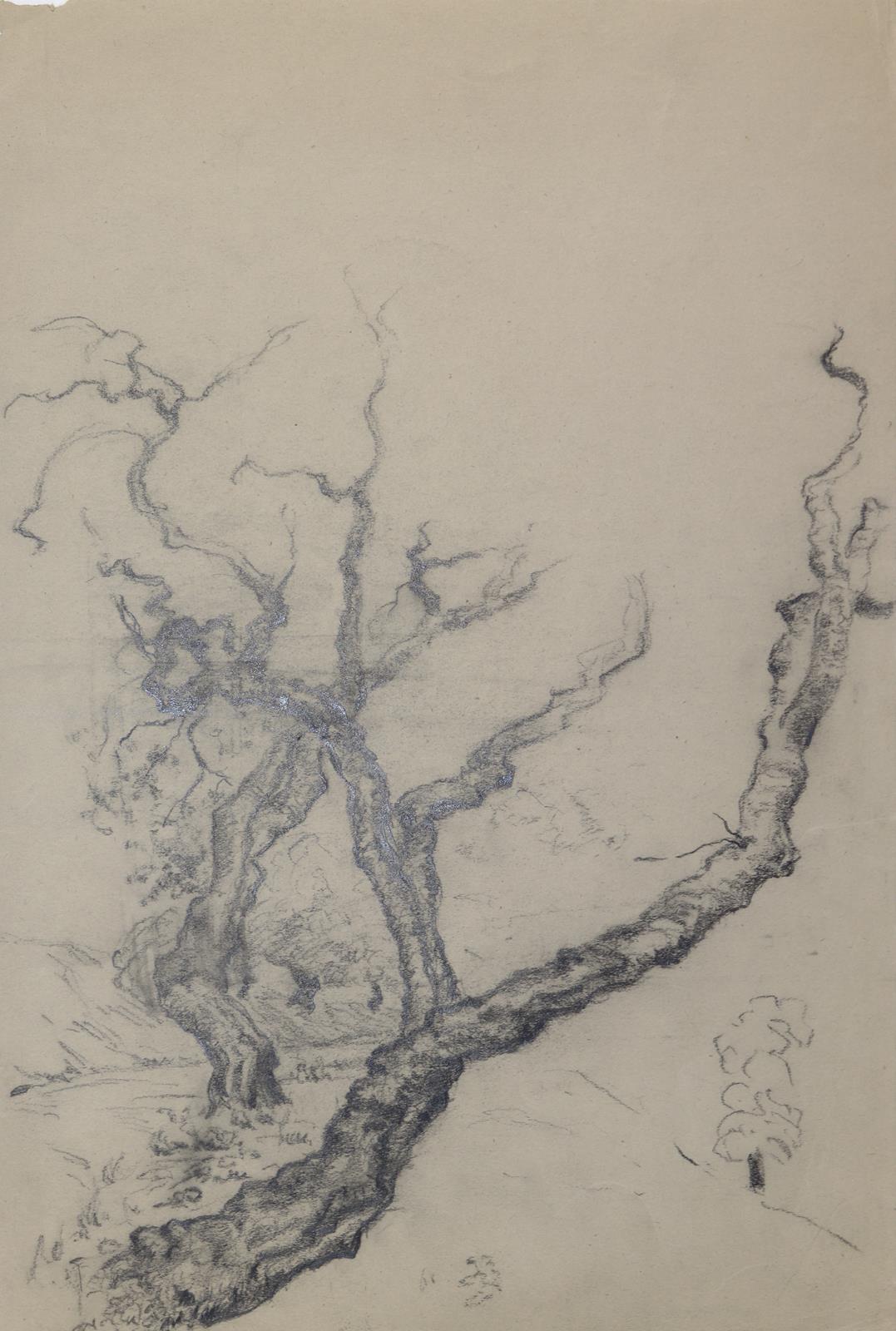 Leinecker, Franz | Bild Nr.6