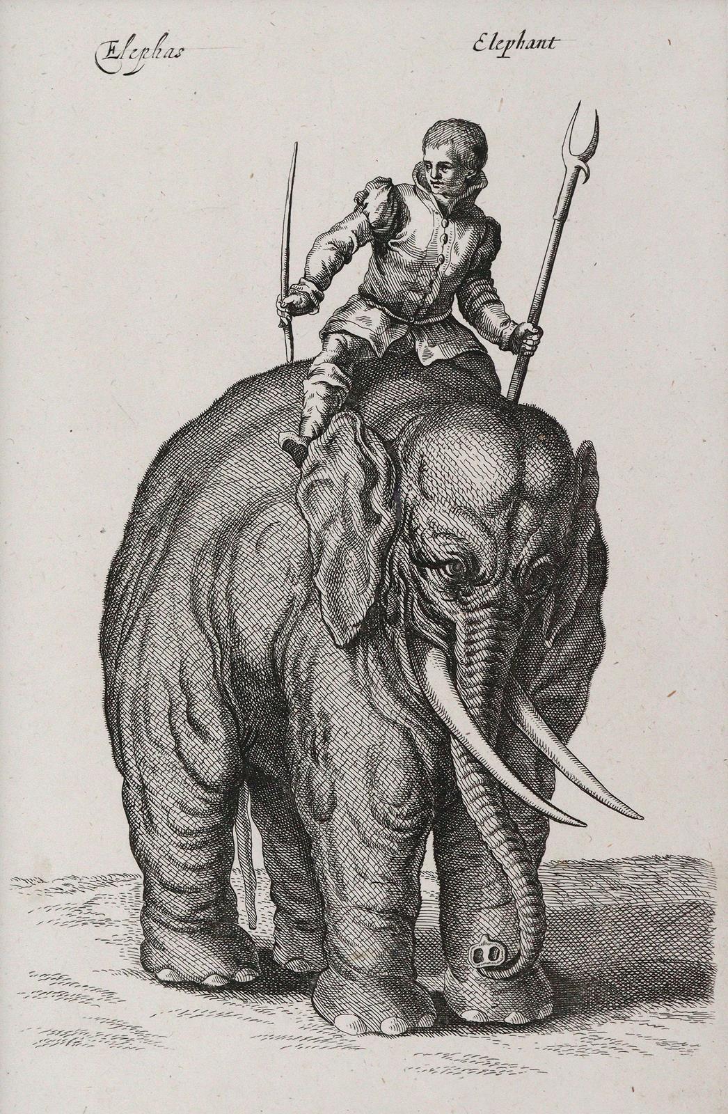 Merian, Matthäus | Bild Nr.1