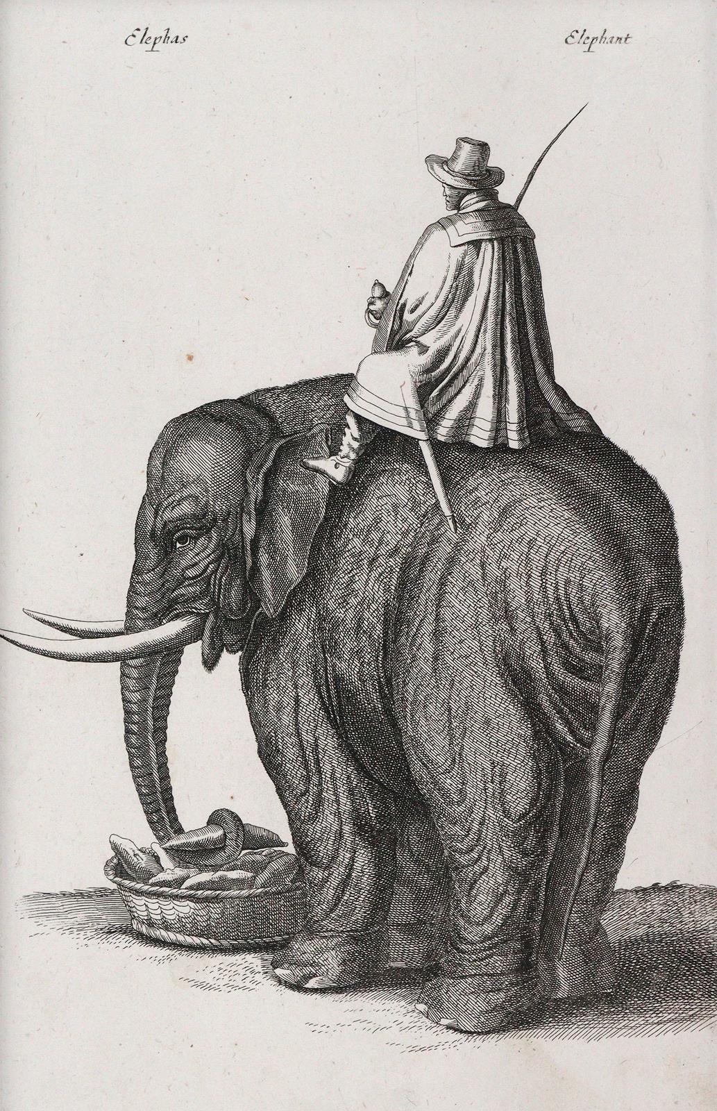 Merian, Matthäus | Bild Nr.2