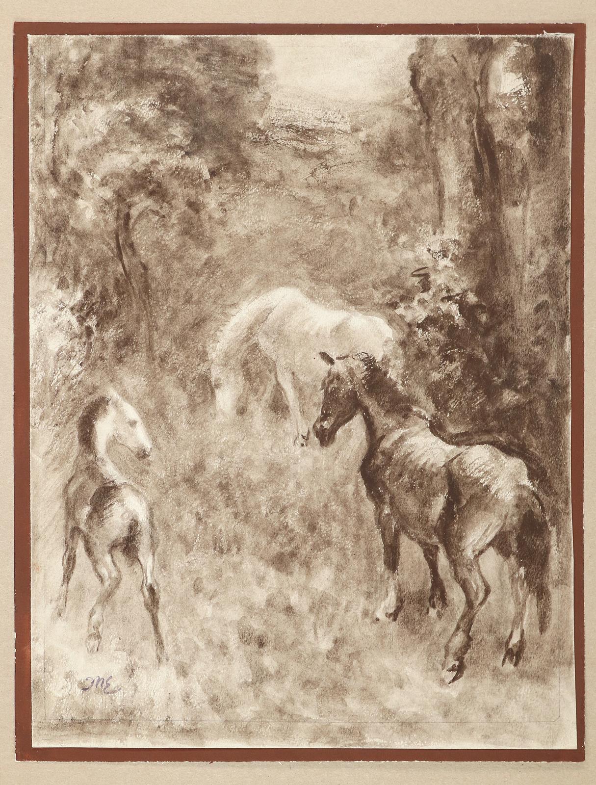 Meyer-Eberhardt, Kurt | Bild Nr.1