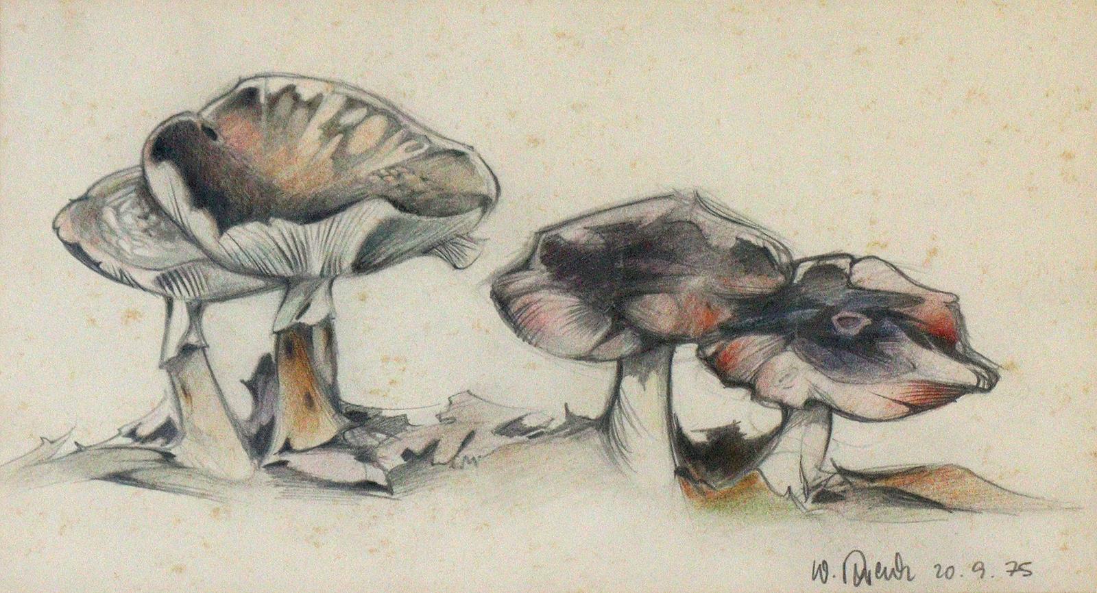 Moderne | Bild Nr.8