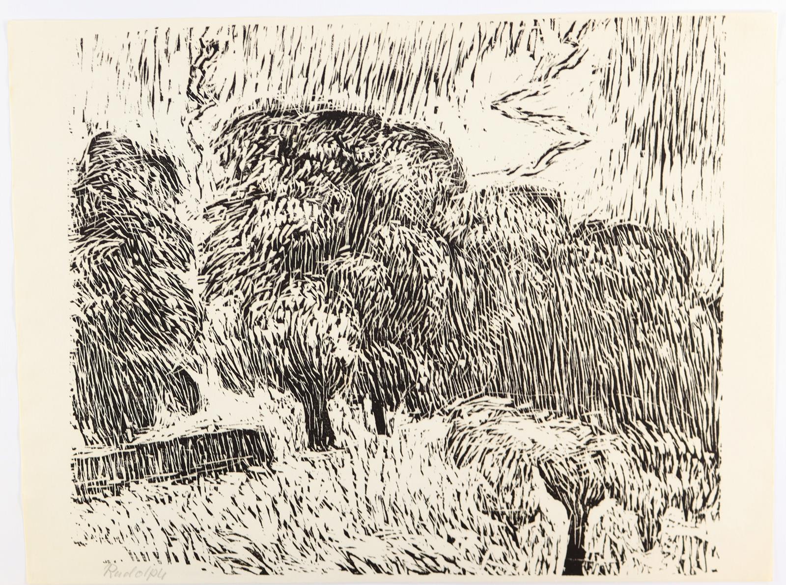 Rudolph, Wilhelm | Bild Nr.1