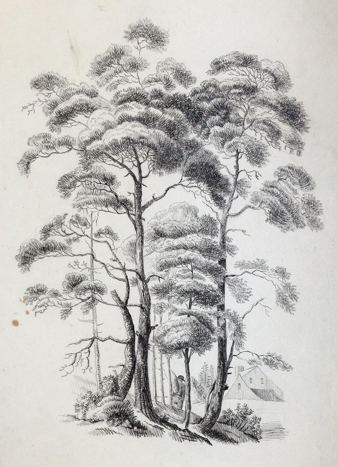 Sammlung | Bild Nr.5