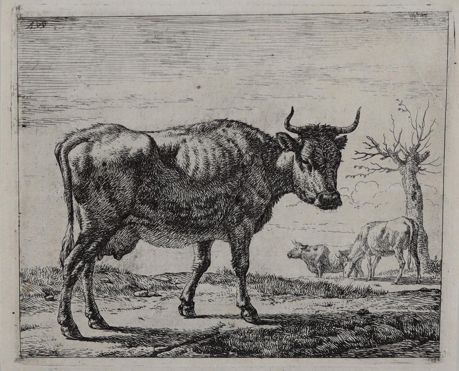 Van de Velde, Adriaen | Bild Nr.2