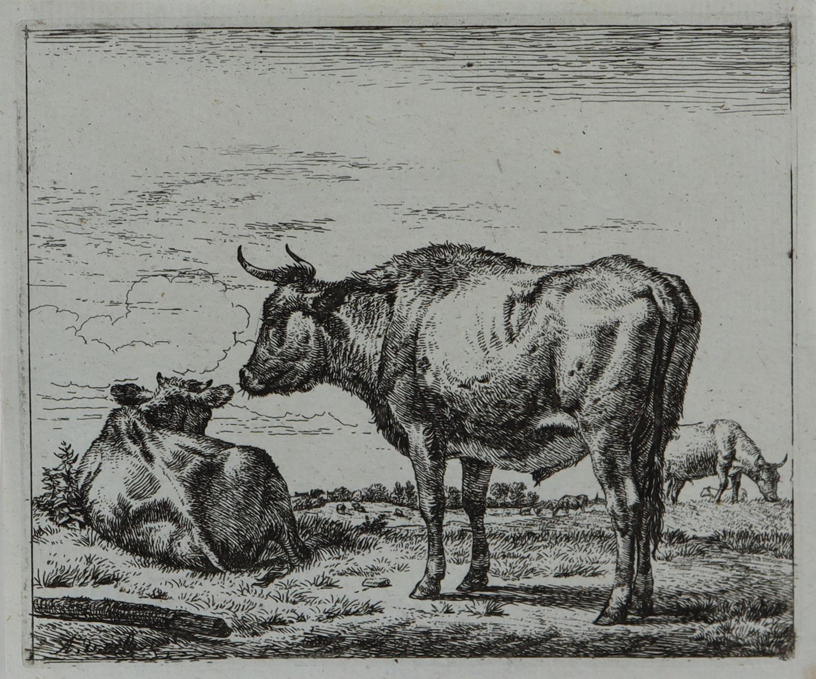 Van de Velde, Adriaen | Bild Nr.3