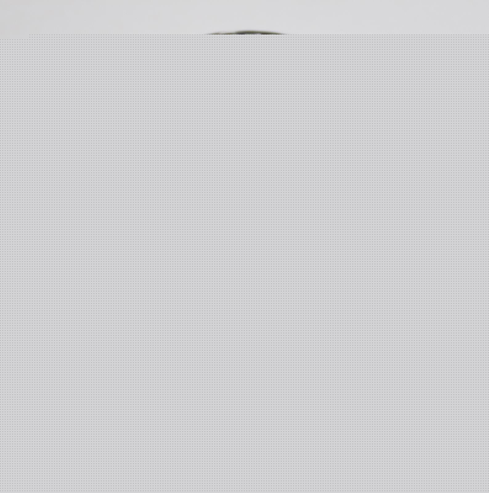 Yasuhiko, Tsuchida | Bild Nr.3