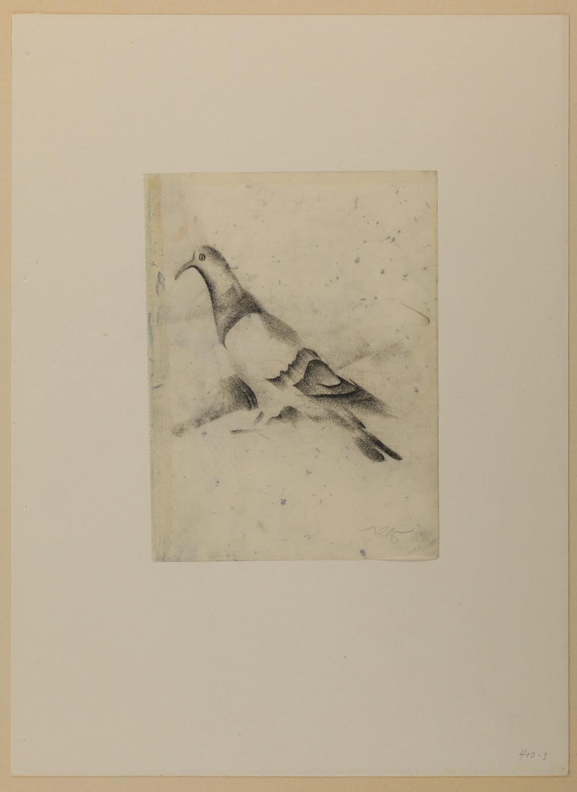 Ziegler, Richard | Bild Nr.1
