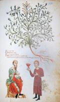 Medicina antiqua libri quattuor medecinae.
