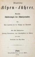 Illustrirter Alpen-Führer.