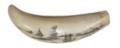 Scrimshaw, gravierter