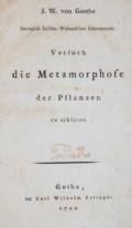 Goethe,J.W.v.
