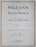 Pigeons and pigeon world.