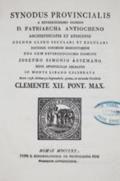 Synodus provincialis