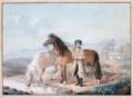 Pforr, Johann Georg