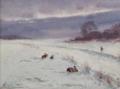 Snethlage, Karl Helmuth