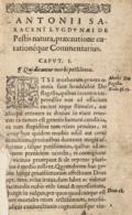 (Saracenus,J.A.