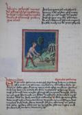 Altteutscher astro-medicinischer Rathgeber.