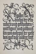 Schedel,H.