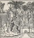 Schedel,H.