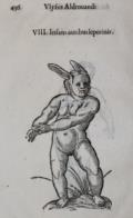 Aldrovandi,U.