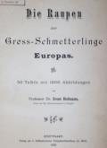 Hofmann,E.