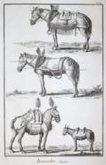 Diderot,D. u. J.d"Alembert.