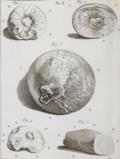 Histoire de l"academie royale des sciences.