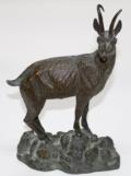 Gemse, Bronze