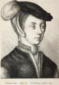 Hollar, Wenzel