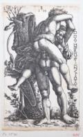 Hopfer, Hieronymus