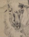 Kalb, Wilhelm
