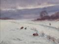 Snethlage, Karl Helmuth